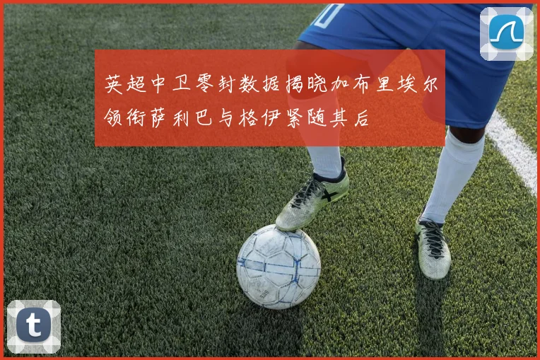 英超中卫零封数据揭晓加布里埃尔领衔萨利巴与格伊紧随其后